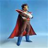 Sans marque Statua In PVC Vegeta Dragon Ball Figurina Anime Manga 29,5cm