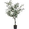 BIZZOTTO PIANTA ULIVO CON VASO H120 0172613