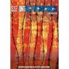 Shami Media Group Various -Sin Fronteras/Without Borders (DVD) Giorgio Serafini