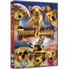 Walt Disney Studios Home Entertainment Treasure Buddies (DVD) Treasure Buddies Richard Riehle Adam Alexi-Malle