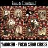 tarocchi del circo freak mazzo di carte collezionabili oracolo arcani maggiori