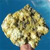Minerali *** GRANDE ESEMPLARE con CRISTALLI di ZOLFO NATIVO su MATRICE Polonia