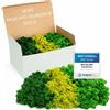 Mix Verde Muschio Islandese Conservato I 500 G Muschio Decorativo per Quadri E P