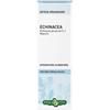 Erba Vita Group Echinacea Integartore Per Le Difese Dell'organismo Tintura Idroalcolica 50ml