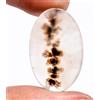 Gemstonedesire Cabochon ovale 14,40 ct. 100% agata dendritica scenica naturale 17 x 27 x 3 m...