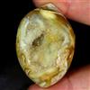 Gemstonedesire 170,70 ct .100% naturale design fossile lumaca druzy agata fantasia 31 x 46 x...