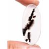 Gemstonedesire Cabochon ovale 17,20 ct.100% agata dendritica scenica naturale 15 x 32 x 3 mm...