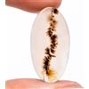Gemstonedesire 11,05 ct. 100% naturale scenica dendritica agata ovale cabochon 14 x 26 x 3 m...