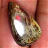 Gemstonedesire Affascinante cabina canadese ammmolite 100% naturale 7,90 ct 11x19x4 mm pietr...