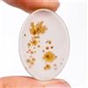 Gemstonedesire 16,70 ct. 100% naturale scenica dendritica agata ovale cabochon 21 x 28 x 3 m...