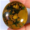 Gemstonedesire 66,00Cts.100%Natural Fossil design Tibet Turchese Cabina Ovale 31x34x8mm Gemma