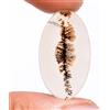 Gemstonedesire Cabochon ovale in agata dendritica scenica scenica naturale 10,95 ct. 100% 15...