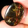 Gemstonedesire 11,15 ct affascinante 100% naturale ammolite canadese cabina 14x20x3 mm pietr...