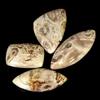 Gemstonedesire Lotto all'ingrosso 76,05 ct naturale di alta qualità mix di agata radice di p...