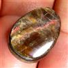 Gemstonedesire 10,50 ct affascinante 100% naturale ammmolite canadese cabina 13x19x4 mm piet...