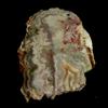 Gemstonedesire 234,90 ct. 100% naturale pazzo pizzo agata fantasia cabochon 53 x 74 x 6 mm p...