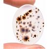 Gemstonedesire Cabochon ovale 14,20 ct.100% agata dendritica scenica naturale 18 x 24 x 3 mm...