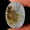 Gemstonedesire 16,00 ct. Cabochon ovale al quarzo dendrite 100% naturale 18x25x3 mm pietra p...