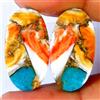 Gemstonedesire Coppia di ostriche turchesi spinose in rame trattato 20,30 ct. cabina ovale 1...