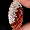 Gemstonedesire 110.00Cts.100%Natural Designer Crazy Lace Agate Oval Cab 32x49x6mm Top Gemstone