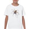 Spaventosa Ragno Bambini Bambino Divertente Halloween Aracnofobia Costume