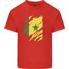 Gildan Torn Senegal Bandiera Senegalesi Giorno Calcio Uomo Cotone Leggero T-Shirt