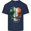 Gildan Palestra Irlandese Tricolore Bandiera Addominali Irlanda Uomo Luce Cotone Maglia
