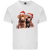 Gildan T-Shirt In Cotone Leggero Con Cuccioli Di Labrador Cioccolato Per Natale