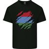 Gildan T-Shirt In Cotone Leggero Per Uomo Torn Flag Karelia