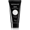 NeoNail Duo Acrylgel Perfect Clear 15 g