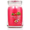 Yankee Candle Signature Praline & Birch Candela profumata 567 g tipo Art In The Park