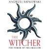 Andrzej Sapkowski The Tower of the Swallow (Tascabile) Witcher