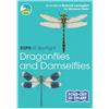 Marianne Taylor RSPB ID Spotlight - Dragonflies and Damsel (Mixed Media Product)