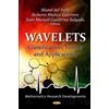 Juan Manuel Gutierrez Salgado Wavelets (Copertina rigida)