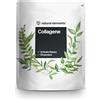 Collagene in Polvere 500 G - Peptidi Di Collagene Idrolizzato - Collagene Di Tip