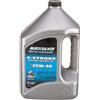 Quicksilver Olio per motori marini a 4 tempi SAE 25W-40 4 L Olio per motori marini