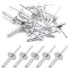 BESTYCHAO 50 rivetti ciechi in alluminio con flangia grande, 4,8 mm x 25 mm, confezione da 50 (argento)