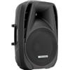 Pronomic PH15 Altoparlante da Palco e Concerto PA 190W RMS/350W Peak Woofer 15