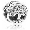 CWOne Designs Ciondolo in Argento con Momenti Familiari a Forma di Cuore per Bracciali Pandora., One size, Argento sterling, Zirconie sintetico