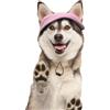 BASVII Cappello da Baseball per Cani in Morbido Velluto a Coste, Dimensioni regolabili, Come Abbigliamento per Cani da Compagnia, per la Decorazione e la Protezione Solare (XL, Rosa)