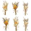 Nhgkju 6 mini bouquet di fiori secchi (15 cm) - piccoli fiori secchi con papillon ed erba per decorazioni, matrimoni, regali - bouquet di fiori secchi gialli per la casa (giallo)
