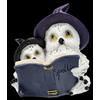 Gufi Figura - Magica Gute Nacht Storia Fantasy Magia Magico Decorazione H 12,5