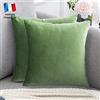 Douceur De Plumes Set di 2 Federe Cuscini Decorativi Tinta Unita in Velluto Verde 50x50, Federa Quadrata Moderna e Morbida, Decorazione Soggiorno Divano Camera Letto (2 Verde)