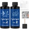 WAN2TLK Kit cianotipo, kit per stampa solare per progetti fotografici su carta e tessuto, 2 componenti soluzione cianotipo sensibilizzante set per progetti fai da te