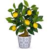 Hollyone Pianta artificiale di limone in vaso, pianta finta decorativa in vaso, piccolo albero di limone finto per camera da letto, soggiorno, bagno, scrivania, tavolo, cucina, decorazione per la casa