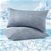 WOLTU Federe Cuscino Rinfrescanti 2 Pezzi, Doppia Faccia Termo-Regolante con Tecnologia Arc-Chill, Federe Antisudore Notte, Zip Nascosta e Tessuto Traspirante, Lavabile in Lavatrice 30x50cm Blu