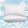 WOLTU Federe Cuscino Rinfrescanti 2 Pezzi, Doppia Faccia Termo-Regolante con Tecnologia Arc-Chill, Federe Antisudore Notte, Zip Nascosta e Tessuto Traspirante, Lavabile in Lavatrice 30x50cm Bianco