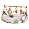 TINY LOVE Palestrina Tiny Love Boho Chic Luxe Developmental Gymini