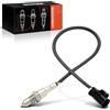 Frankberg Sonda di controllo LR062045 | Compatibile con: R.a.n.g.e R.o.v.e.r IV L405, R.a.n.g.e R.o.v.e.r Velar L560, E-Pace X540, Discovery V L462