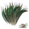 Generisch 20 piume di pavone naturali, 25 - 30 cm, per cappelli, fai da te, artigianato, testa, decorazione di pavone (20 piume di bordo)
